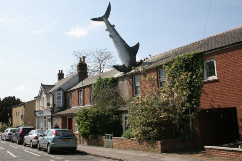 HEADINGTON-SHARK HEADINGTON-SHARK